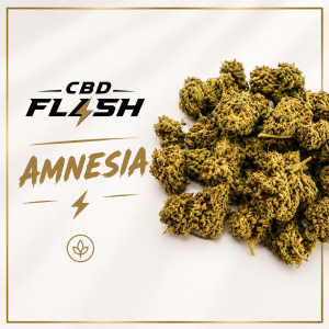 Amnesia
